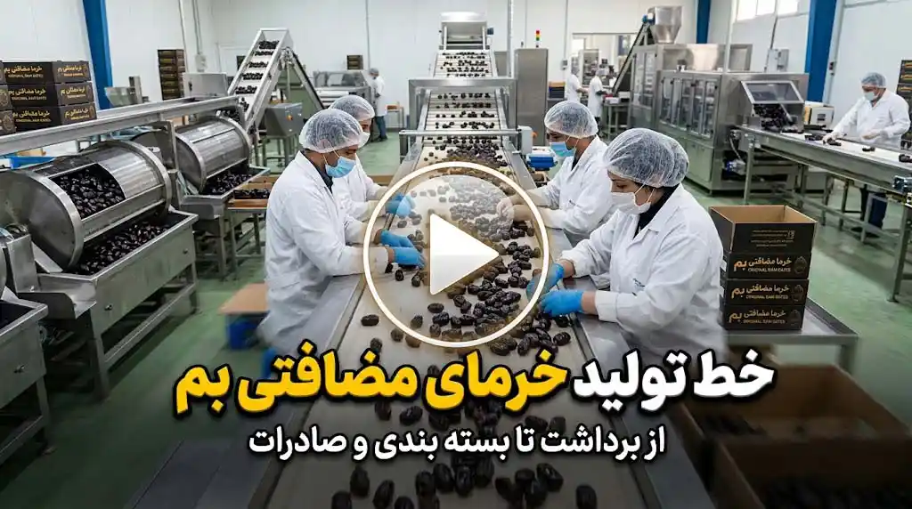 خط تولید خرمای مضافتی رویال